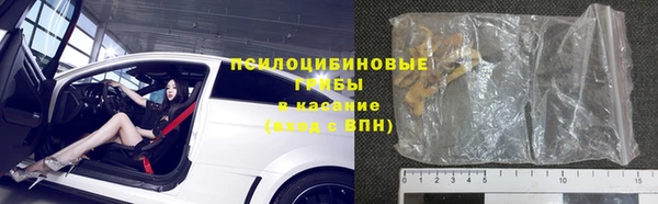 ПСИЛОЦИБИНОВЫЕ ГРИБЫ Вязьма