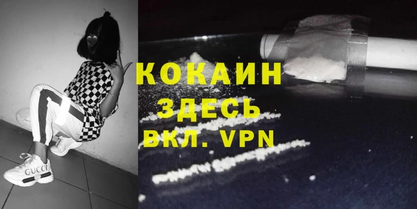 сатива Волоколамск