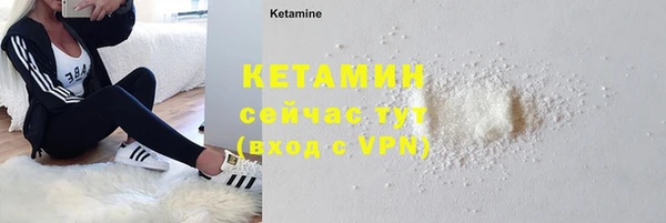сатива Волоколамск