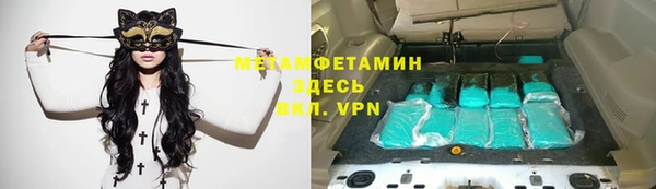 прущие грибы Вязники