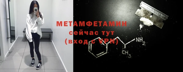 сатива Волоколамск