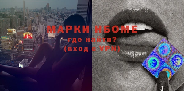 сатива Волоколамск