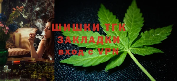 гидра Верея