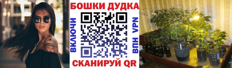 Конопля AK-47  Ермолино 